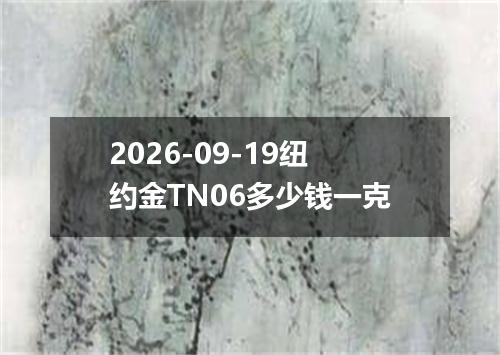 2026-09-19纽约金TN06多少钱一克
