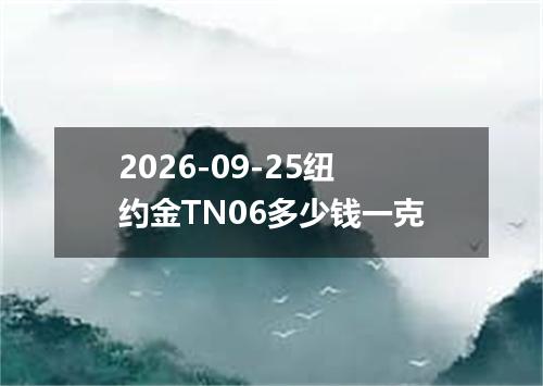 2026-09-25纽约金TN06多少钱一克