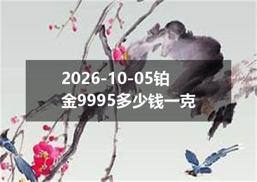 2026-10-05铂金9995多少钱一克