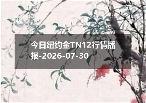 今日纽约金TN12行情播报-2026-07-30