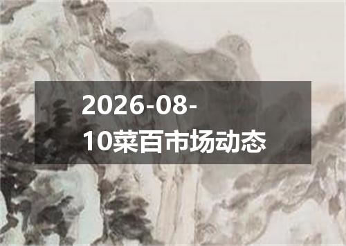 2026-08-10菜百市场动态