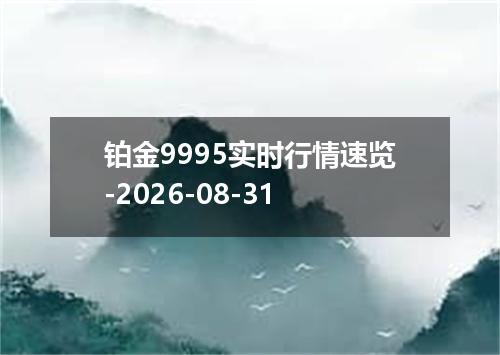 铂金9995实时行情速览-2026-08-31