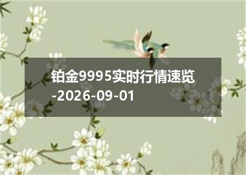 铂金9995实时行情速览-2026-09-01