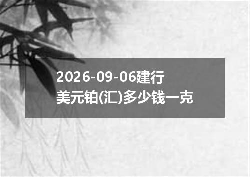 2026-09-06建行美元铂(汇)多少钱一克